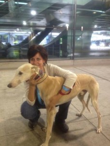 Thanks to groups working together, Rabito made it home to Oklahoma with his new mom, Monica.