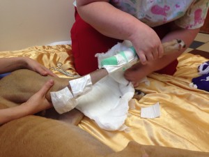 Bandaging the leg. Again.