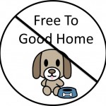 free to good home