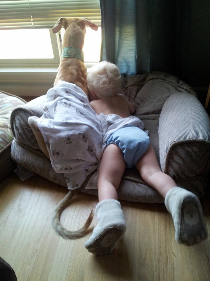 Nothing’s Better Than a Boy and His Dog