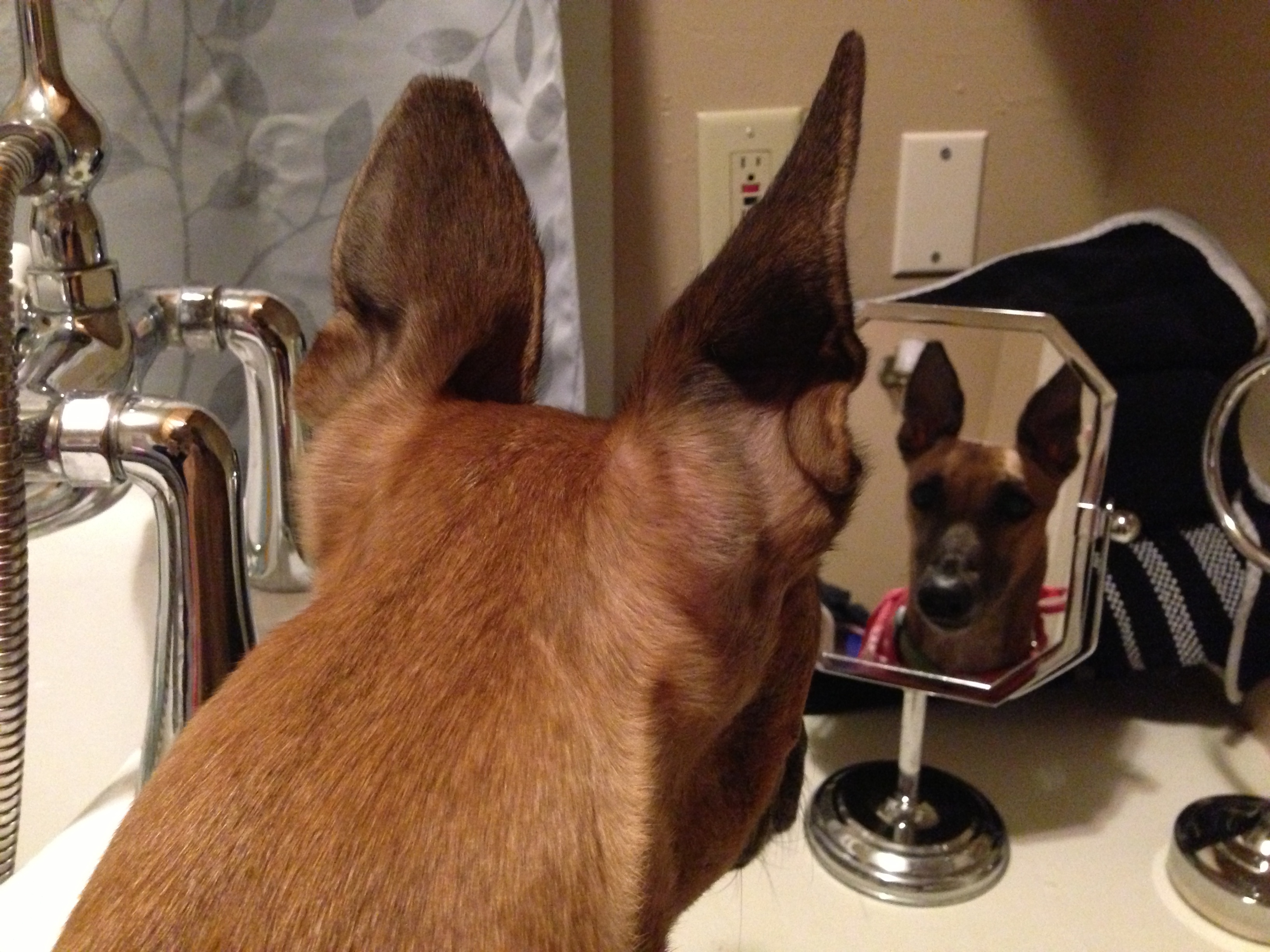Mirror, Mirror On the Sink . . .